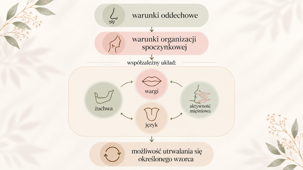 Mapa zależności: warunki oddechowe, organizacja spoczynkowa i współzależny układ żuchwy, warg, języka oraz pracy mięśni